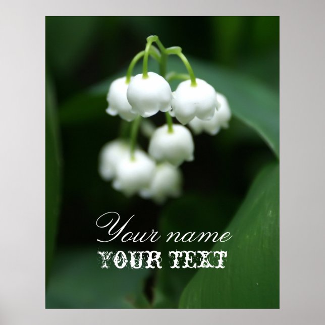 May white lilies poster (Front)