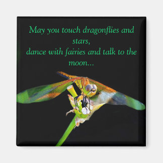 May You Touch Dragonflies Magnet