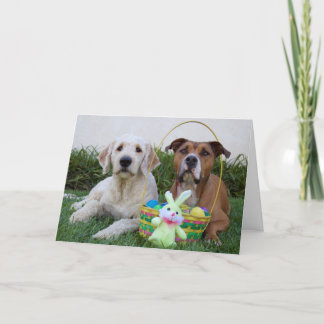 May your easter be egg-cellent card