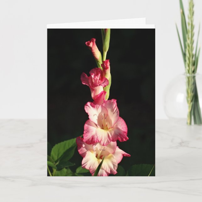 May Your Heart Be Glad, Gladiola Card (Front)