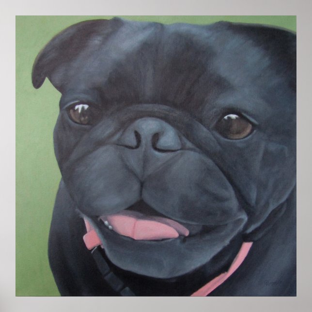 Maya Black Pug Dog Poster (Front)