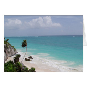 Maya la Riviera