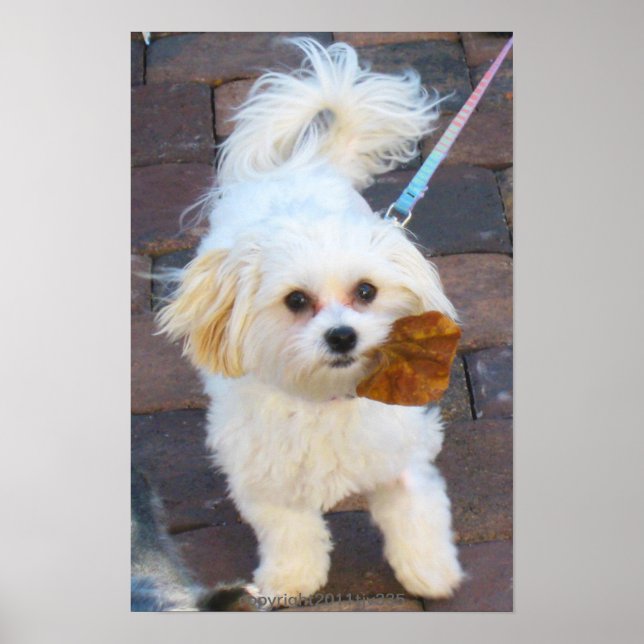 Maya with Leaf Print (Front)