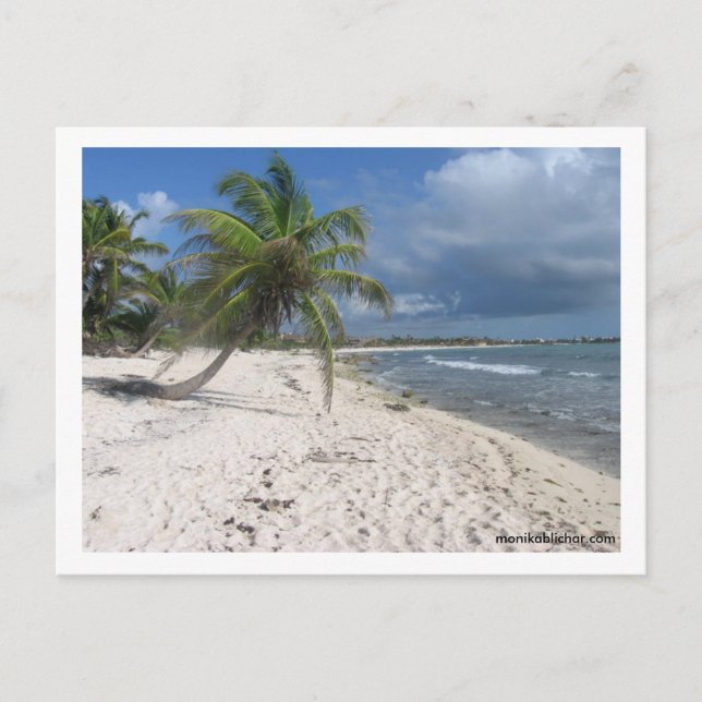 Mayan Riviera Postcard (Front)