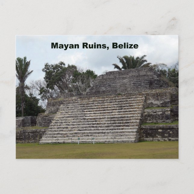 Mayan Ruins, Belize Postcard (Front)