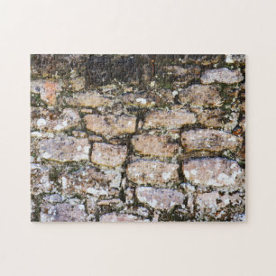 Mayan Ruins Wall Jigsaw Puzzle