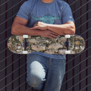 Mayan Ruins Wall  Skateboard