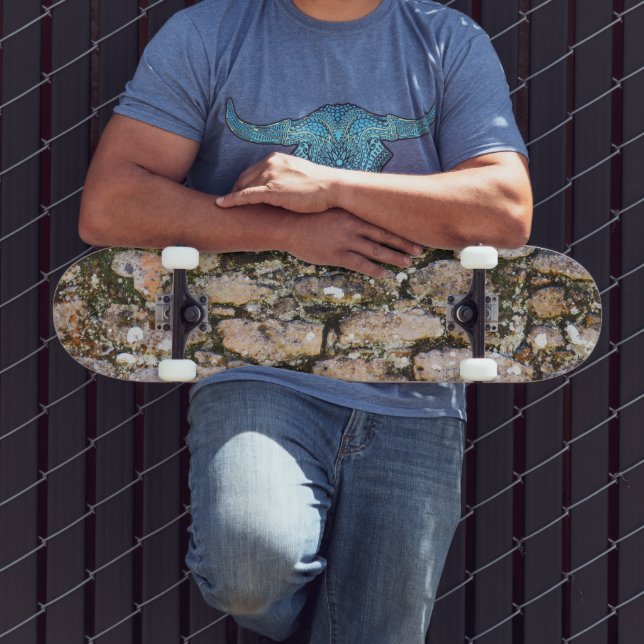 Mayan Ruins Wall  Skateboard (Outdoor 3)