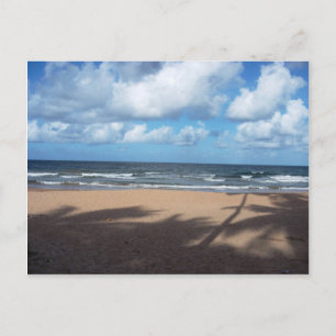Mayaro Beach Shadows of Coconut Trees Postcard