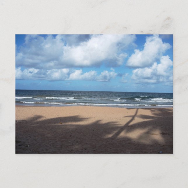 Mayaro Beach Shadows of Coconut Trees Postcard (Front)