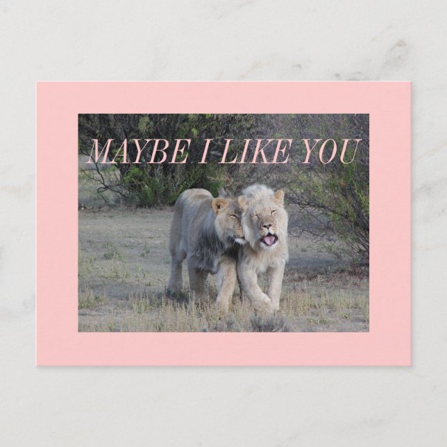 maybe postcard (Front)