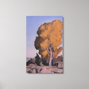 Maynard Dixon - LOW COUNTRY COTTONWOOD 1940 Canvas Print