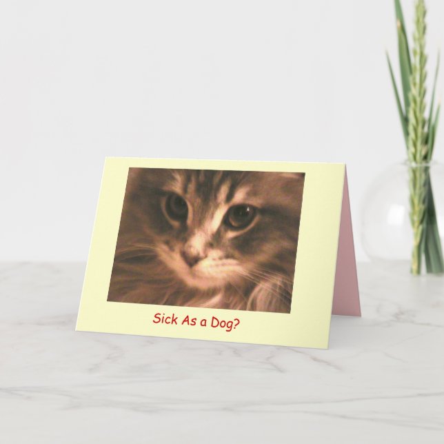 Maynard The Maine Coon2, Sick As a... - Customized Card (Front)
