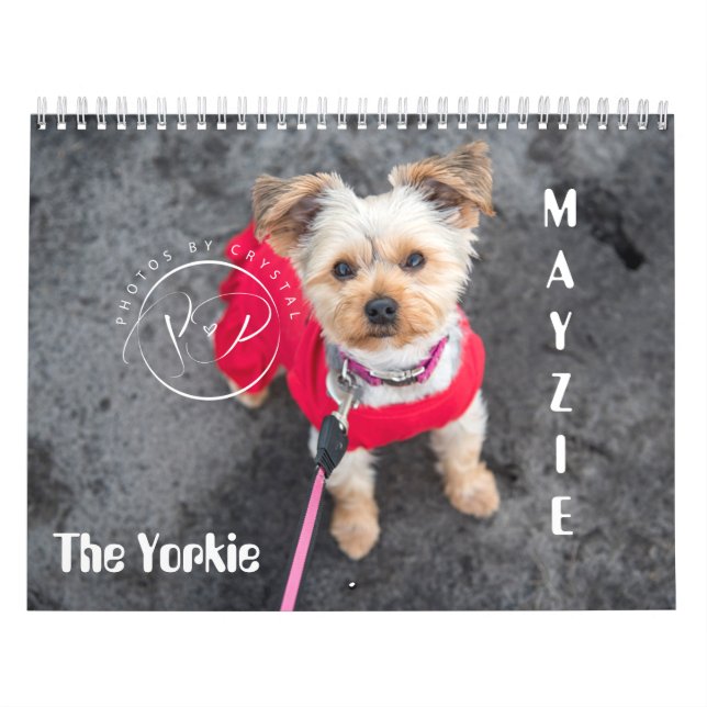 Mayzie Calendar (2021 Style) (Cover)