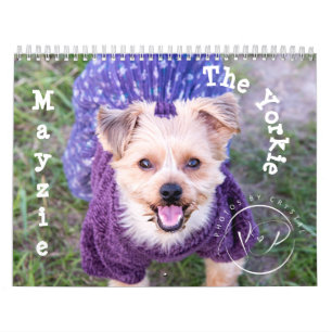 Mayzie Calendar II (2022 Style)