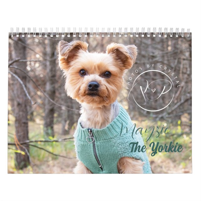 Mayzie Calendar III (2023 Style) (Cover)