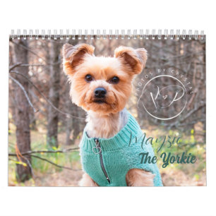 Mayzie Calendrier III (Style 2023)