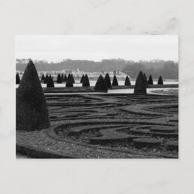 Maze Postcard (Front)
