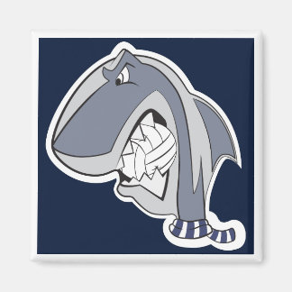 MBB '04 | Calamita Magnet