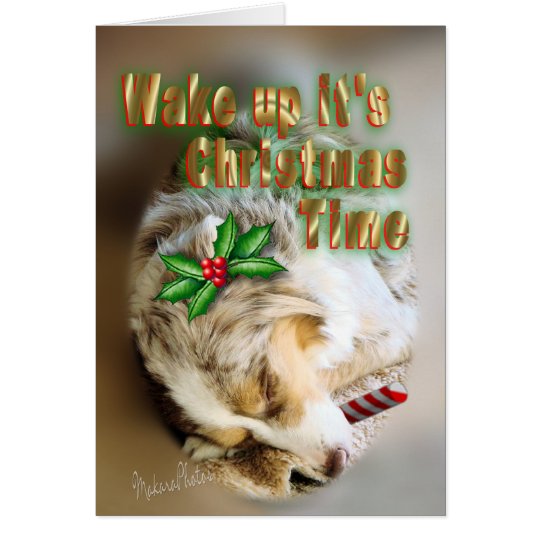 MC Dixie Christmas-customize Card
