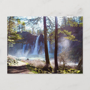 McArthur-Burney Falls Memorial State Park Postcard