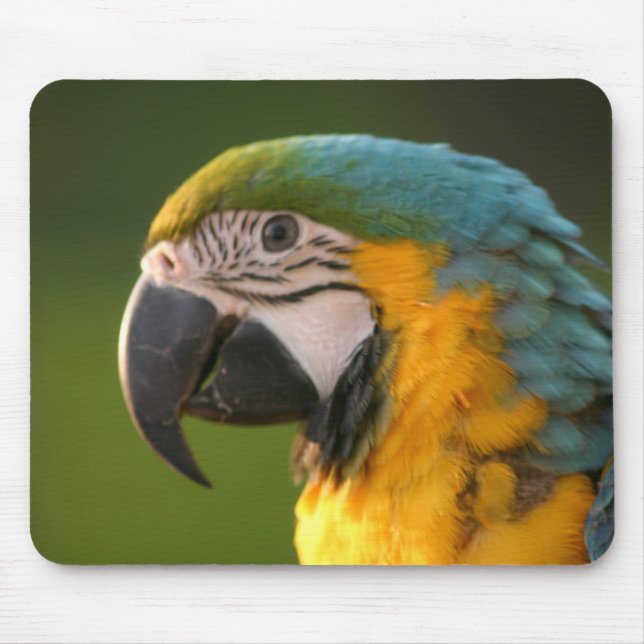 McCaw Mousepad (Front)