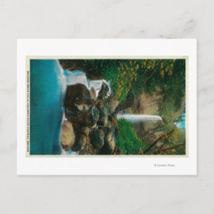 McCord Creed Falls on Columbia River Postcard