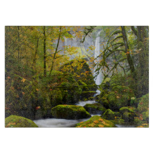 McCord Creek Bigleaf Maple   Columbia Gorge, OR Cutting Board