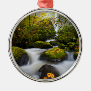McCord Creek Bigleaf Maple Columbia Gorge, OR Metal Ornament