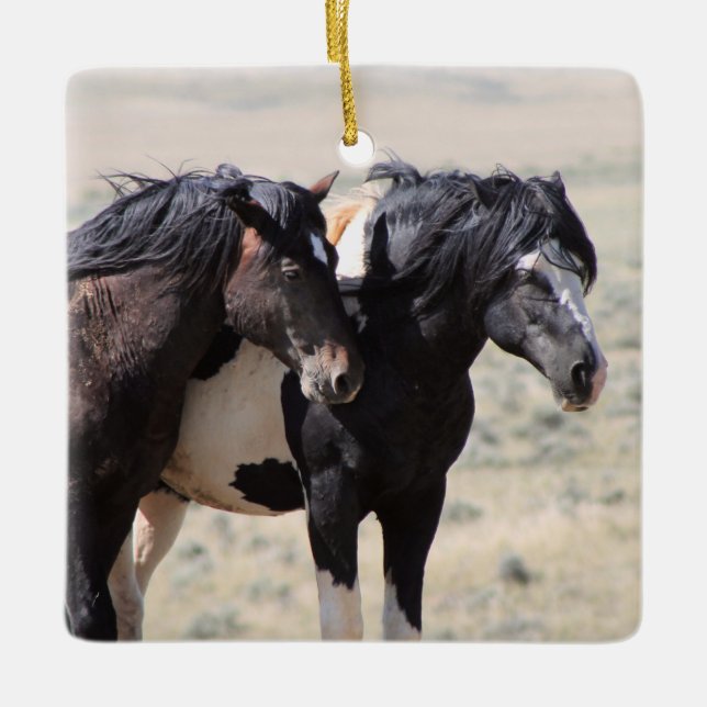 McCullough Peaks Washakie Ceramic Ornament (Front)