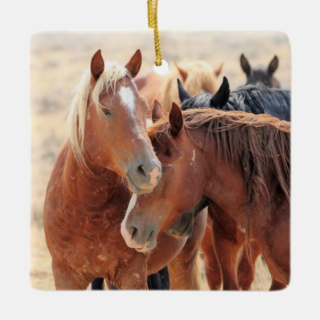 McCullough Peaks Wild Horses Ceramic Ornament (Front)