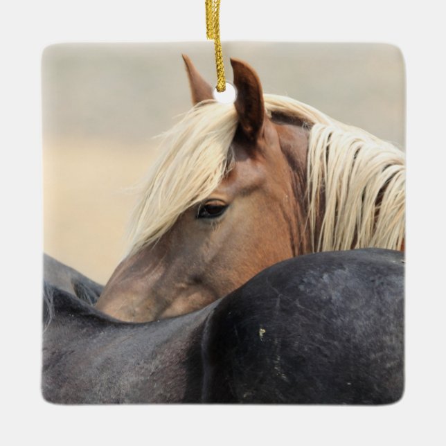 McCullough Peaks Wild Horses Ceramic Ornament (Front)