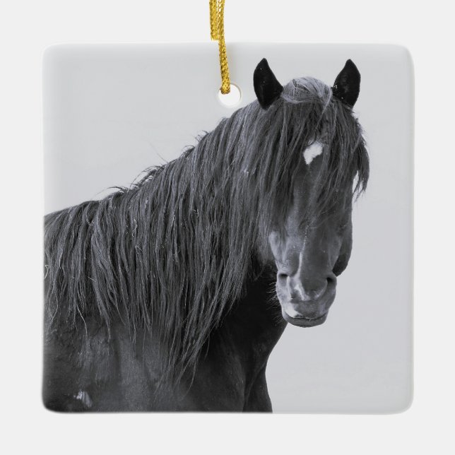 McCullough Peaks Wild Horses Ceramic Ornament (Front)