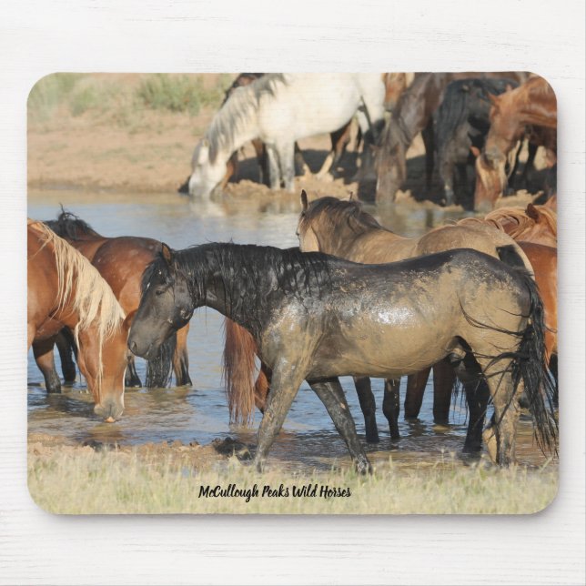 McCullough Peaks Wild Horses Mouse Pad (Front)