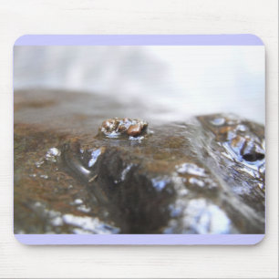 McDonald-Dunn. Oak Creek. Uenoidae Mouse Pad