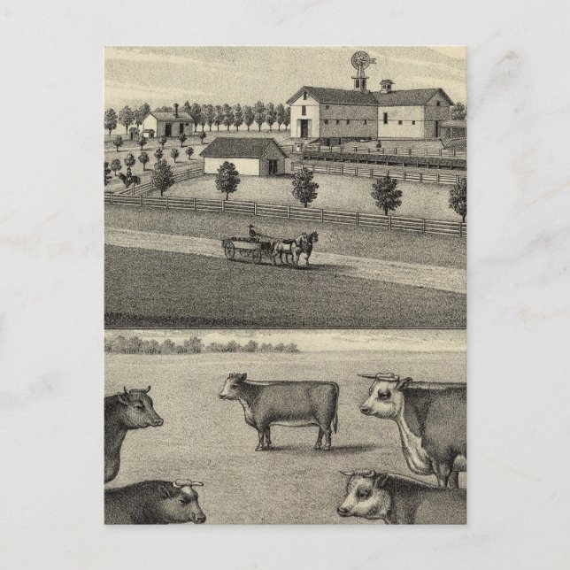 McDonald Farm, Nebraska Postcard (Front)