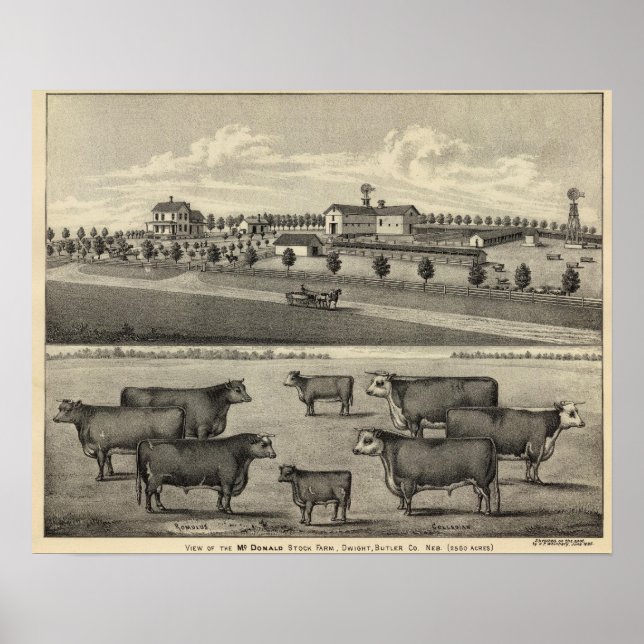 McDonald Farm, Nebraska Poster (Front)