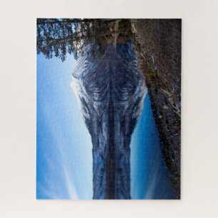 McDonald Lake, Glacier National Park Puzzle 16x20