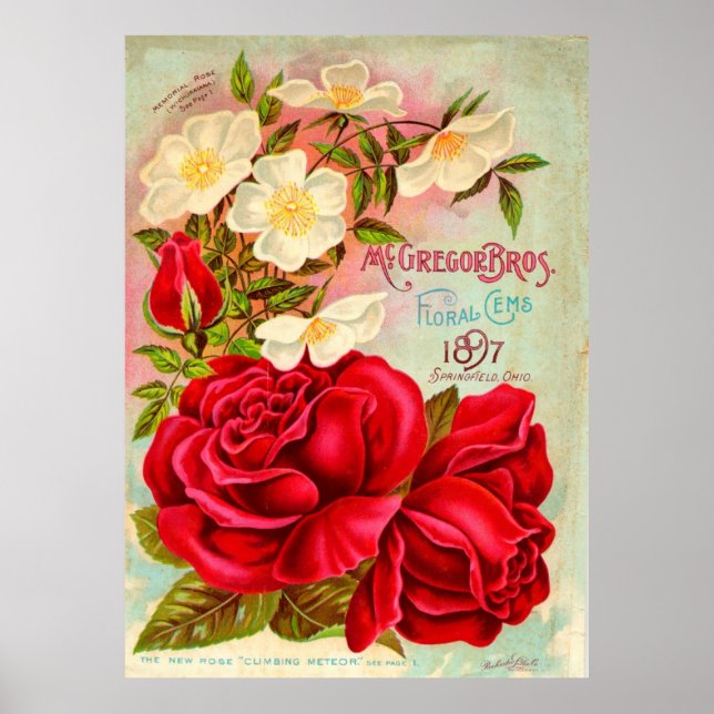McGregor Bros. Floral Gems Advertisement Poster (Front)