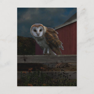 "McHoots the Watch Owl" Postcard