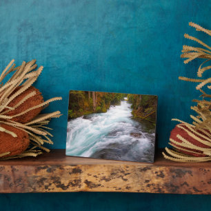 McKenzie River   Oregon Plaque