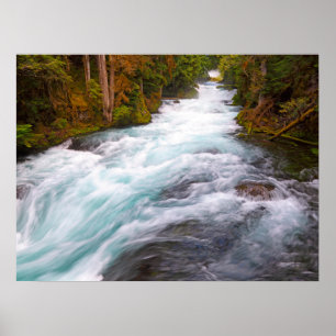 McKenzie River   Oregon Poster