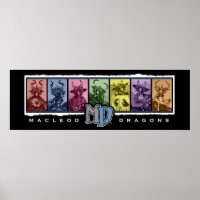 MD 36"x12" Coloured Bar Poster