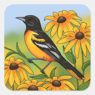 MD State Bird Oriole & Black-eyed Susan Flower Square Sticker
