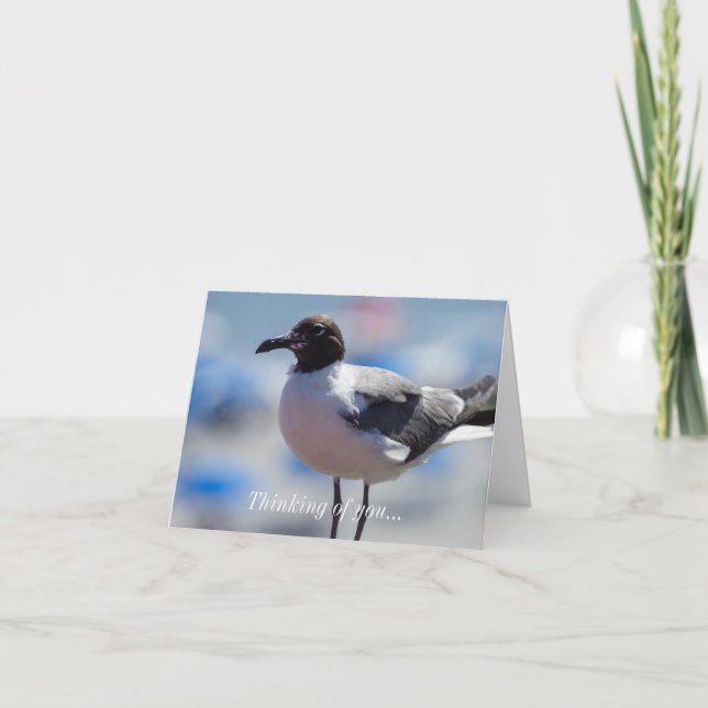 Me A Seagull Thinking Of You Card (Front)