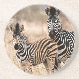 Me and mommy coaster