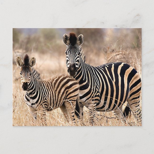 Me and mommy postcard (Front)