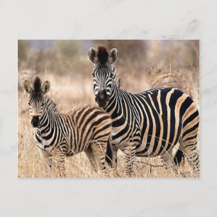Me and mommy postcard