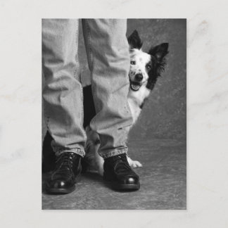 Me and My Shadow - Collie Dog Postcard