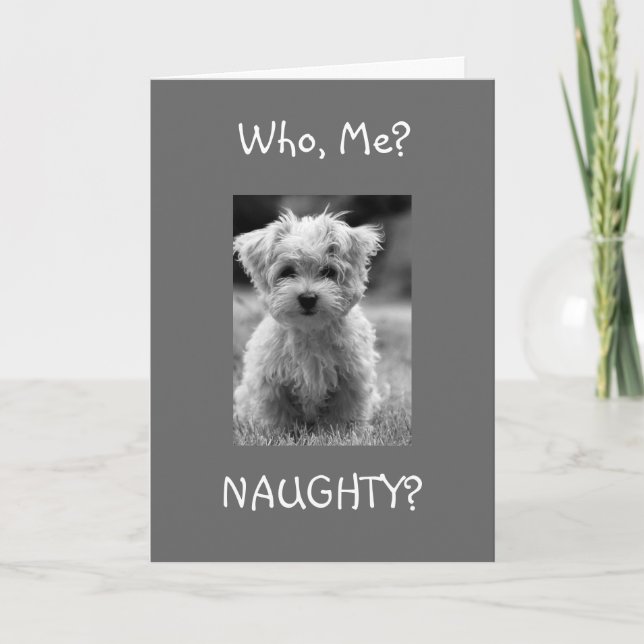 ME NAUGHTY? IF U WANT ME TO BE CHRISTMAS HOLIDAY CARD (Front)